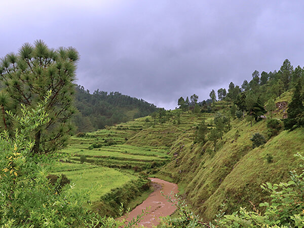 Vatsyayana Resorts